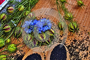 Black cumin nigella sativa or kalonji seeds in heart-shaped bowl on wooden background