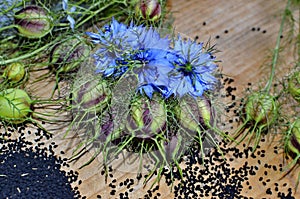 Black cumin nigella sativa or kalonji seeds in heart-shaped bowl on wooden background