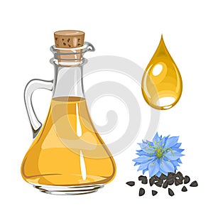Black cumin seed oil and drop. Vector illustration of glass bottle with oil and Nigella sativa flower