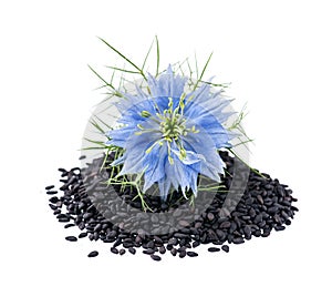 Black cumin seeds with nigella sativa flower