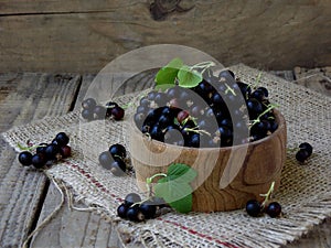 Black currant in a basket