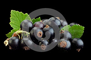 Black currant berries closeup