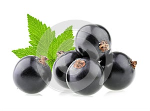 Black currant isolated