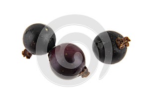 black currant isolated on white background