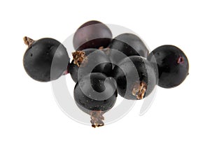 black currant isolated on white background