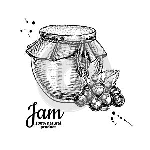 Black currant jam glass jar vector drawing. Fruit Jelly and ma