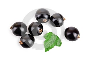 Black currant with leaf isolated on white background. Top view. Flat lay pattern