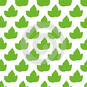 Black currant leaf seamless pattern