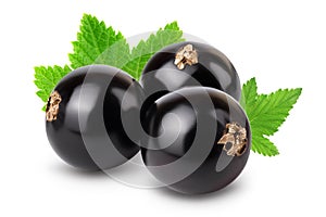 Black currant with leaves isolated on white background with clipping path and full depth of field