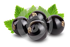 Black currant with leaves isolated on white background with clipping path and full depth of field