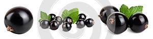 Black currant with leaves isolated on white background with clipping path and full depth of field. Set or collection