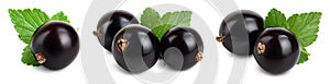 Black currant with leaves isolated on white background with clipping path and full depth of field. Set or collection