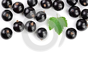 Black currant with leaves isolated on white background with copy space for your text. Top view. Flat lay pattern