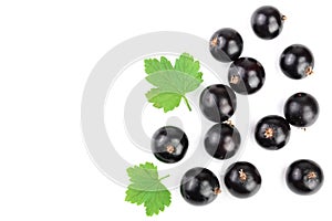 Black currant with leaves isolated on white background with copy space for your text. Top view. Flat lay pattern