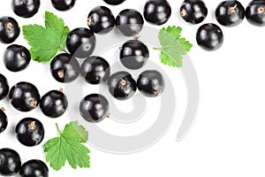 Black currant with leaves isolated on white background with copy space for your text. Top view. Flat lay pattern