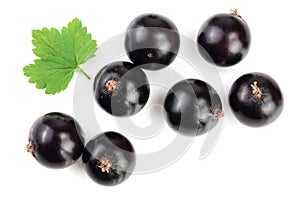 Black currant with leaves isolated on white background. Top view. Flat lay pattern