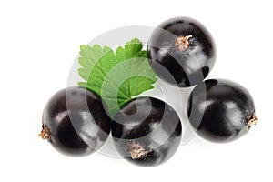 Black currant with leaves isolated on white background. Top view. Flat lay pattern