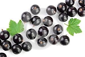 Black currant with leaves isolated on white background. Top view. Flat lay pattern