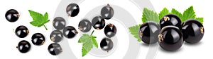 black currant with leaves isolated on white background . Top view. Flat lay pattern