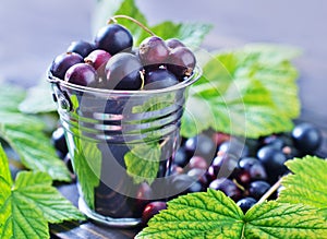 Black currant