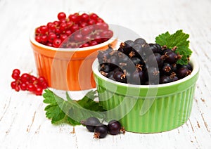 Black currant and red currant