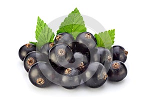 Black currant on white