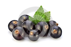 Black currant on white