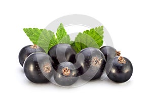 Black currant on white