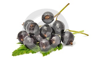 Black Currants