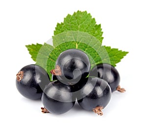 Black currants