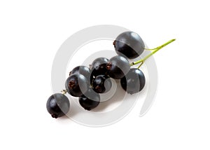 Black currants