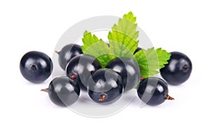 Black currants