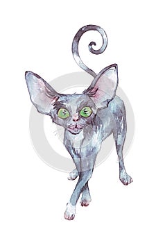 Black cute cat watercolor illustration