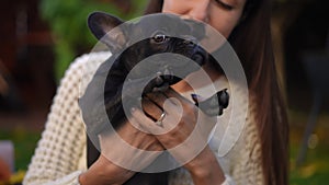 Black cute French Bulldog puppy in hands of unrecognizable young Caucasian woman outdoors. Portrait of curios charming