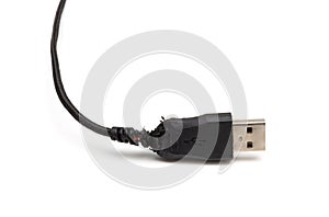 Black damaged usb cable gnawed by a dog photo