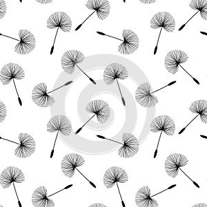 Black dandelions seed floral fluff pattern on a white background