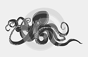 Black danger cartoon octopus characters with