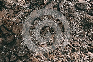 Black Dark Soil Dirt Background Texture, Natural Pattern. Flat Top View. Clods of Earth