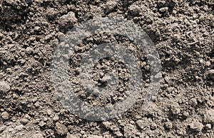 Black Dark Soil Dirt Background Texture, Natural Pattern. Flat Top View. Clods of Earth