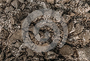 Black Dark Soil Dirt Background Texture, Natural Pattern. Flat Top View. Clods of Earth