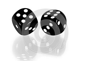 Black Dice Reflected