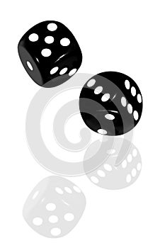 Black Dice Reflected