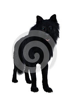 Black Dire Wolf. 3d illustration isolated on white background