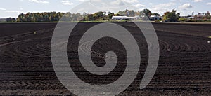 Black Dirt Farmland