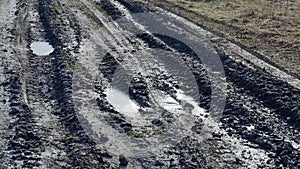 Black dirt road with puddles in ruts.