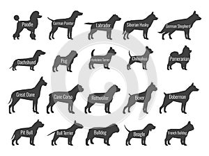 Black dog breeds vector silhouettes isolated on white background