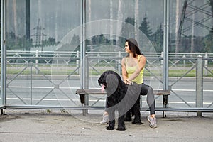 Black dog and female owner wait for tram on public transport station.