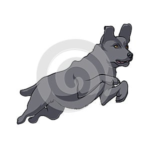 Black Dog is jumping. Active dog. Stock Vectors