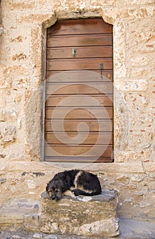 Black dog lying stone step in front wooden door