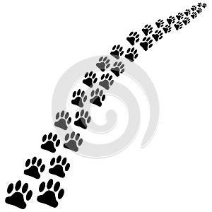 Black dog paw footsteps